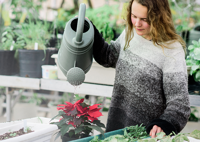 Agriscience student watering a plant with a large watering can.